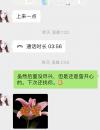 分享一个亲测轻熟女，确实不错